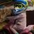 Rhonda Harris's profile image