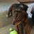 Linda Pasley Bell's profile image