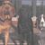 Gina Puzo's profile image