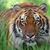 Holly Fontenot's profile image