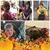 Robin Dale Cochrell's profile image