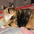 Barbara Miller's profile image