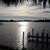 Paula Petrone's profile image
