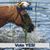 Susie Knutson's profile image