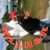 Randall Smith's profile image