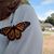 Gretchen Miller's profile image