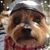 Theresa Nikolai Anderson's profile image