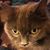 Jackie Cowan's profile image