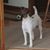 Anne Wainwright Beckwith's profile image