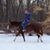 Kimberly Gregson Palmisano's profile image