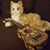 Francoise Becker's profile image