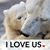 Paula Vance Puess's profile image