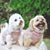 Maggie Nikki Graves's profile image