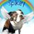 Chris Bozek Fee Sebestik's profile image