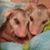 Rebecca Coker's profile image