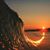 Debbie Jesse's profile image