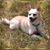 MsMarty Young's profile image