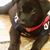 Maria Hammerbeck's profile image