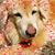 Cristy Monroy's profile image