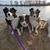 Krisena Watson Rieger's profile image