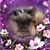 Tina Green's profile image