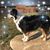 Vicky Jankowski Lattal's profile image