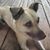 Jill Grubb Shelton's profile image