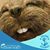 Manuela Wolter's profile image