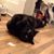 Carol Ann Wichlacz's profile image