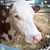 John Covello's profile image
