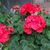 Donna Barbour's profile image