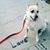 Martha Ruiz Decastro's profile image
