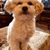 Maureen Van Walstijn-Wood's profile image