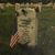 Lisa DiNapoli Broderick's profile image