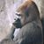 James Robertson's profile image