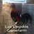 Jesus Gerardo Hernandez's profile image