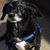 Kristi Crumpton Rabinskas's profile image