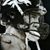 Elaine Teresa Potvin's profile image