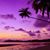 Sherquetta L. Ingram's profile image