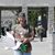 Debbie Braswell Meredith's profile image