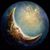 Terri Conley's profile image