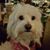 Nikki Finney Shepherd's profile image
