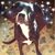 Cathy Ann's profile image