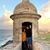 Anna Radhika White's profile image
