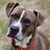 Barb Hess's profile image