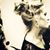Ashley Lynn's profile image