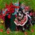 Cynthia K's profile image