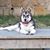 Kerri Spurlock Stavros's profile image