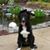 Cheryl Engel's profile image