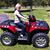 Ellen Mc Williams's profile image